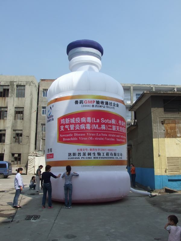 阳江镇广告宣传气模